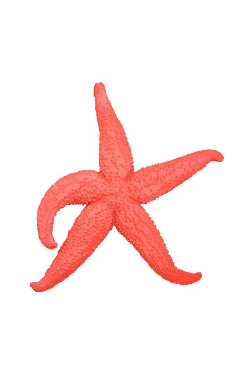 Estrella de mar de resina naranja decorativa