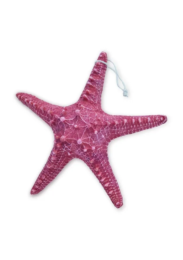 22cm Resin granate horn starfish