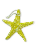 13cm Resin yellow horn starfish