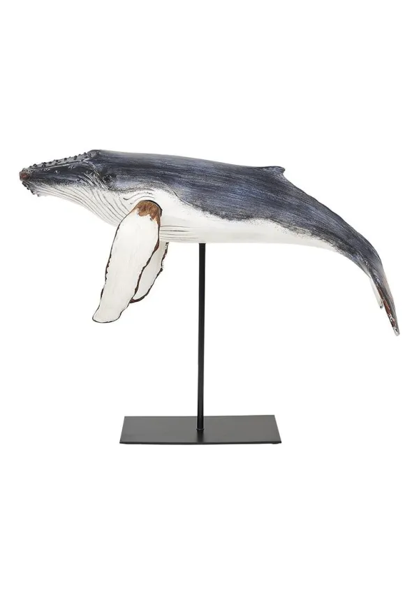 Ballena jorobada con base