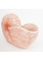 Macetero nautilus beige de resina Batela d1413 2