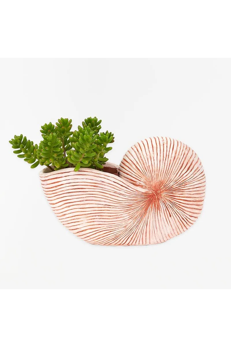 Beige resin nautilus flower pot Batela d1413