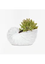 White nautilus ceramic flower pot d7524  batela