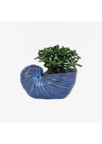 Navy blue nautilus ceramic flower pot d7525 batela