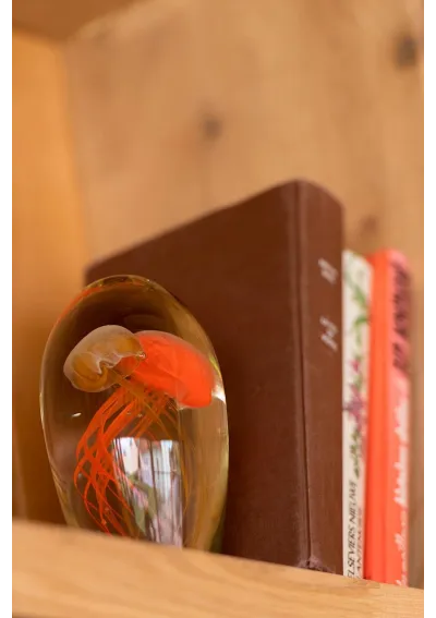 Glass paperweight with 2 orange jellyfish 30169 2