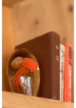 Glass paperweight with 2 orange jellyfish 30169 2