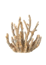 Coral oro viejo pequeño decorativo 40498