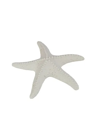 Estrella de mar de porcelana blanca 40382