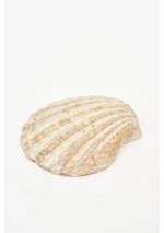 Set of 2 Large Shell Ceramic Bowls by Batela D8108 13
