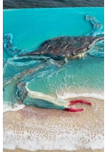 Cuadro cangrejo azul hecho a mano con resina epoxy 4