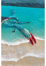 Cuadro cangrejo azul hecho a mano con resina epoxy 5