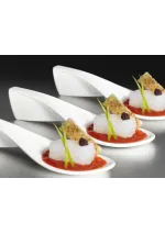 Set of 12 modern spoon