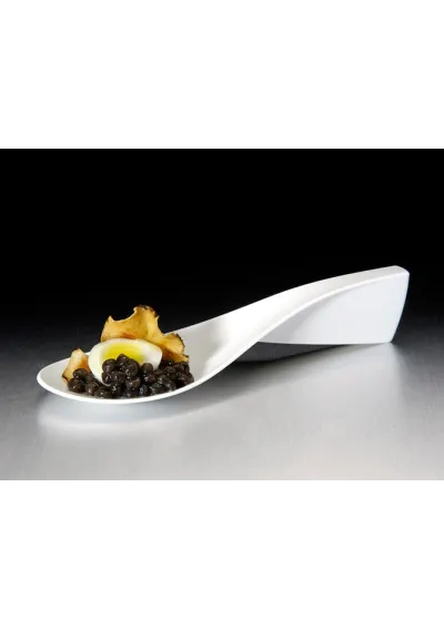 Set of 12 modern spoon