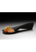 Set of 12 modern spoon