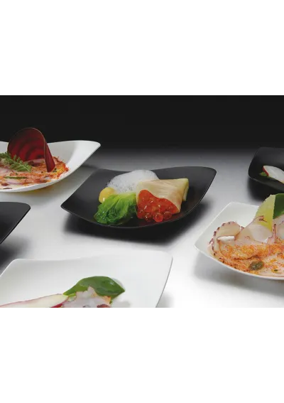 KIT 12 "TASTING PLATES" (CHOOSE A COLOR)