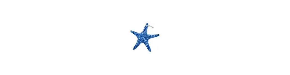 Caracolas y estrellas de mar