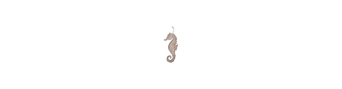 Marine Life Figures | Wall & Table Decor | La Botavara